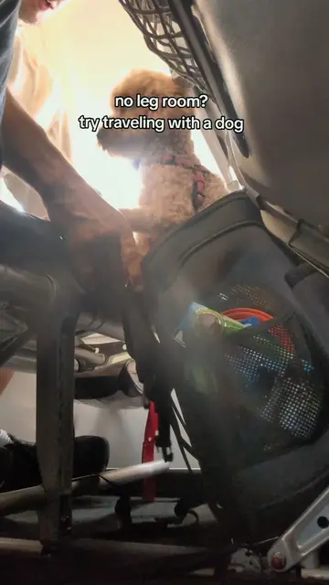 economy seats were not built for humans,    let alone humans traveling with a to