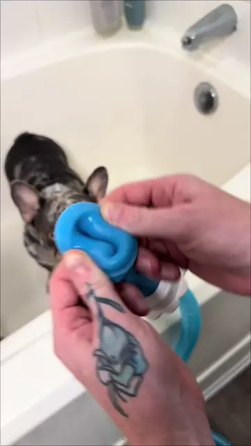 Rinseroos new puppy spa! #rinseroo #dogshower 