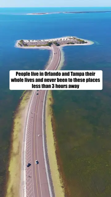 Details 👇🏻 . Fred Howard Park 📍Tarpon Springs A car accessible laid-back Gulf