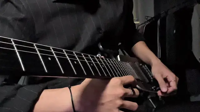 merry christmas, please don't call #donnerhushxpro #guitartok #merrychristmas 