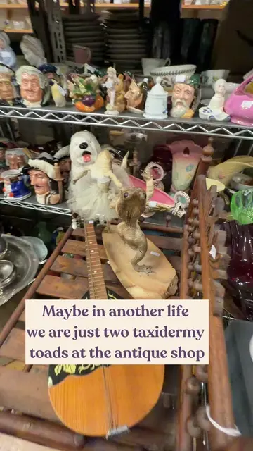 You and who?  #thrifting #antiques 