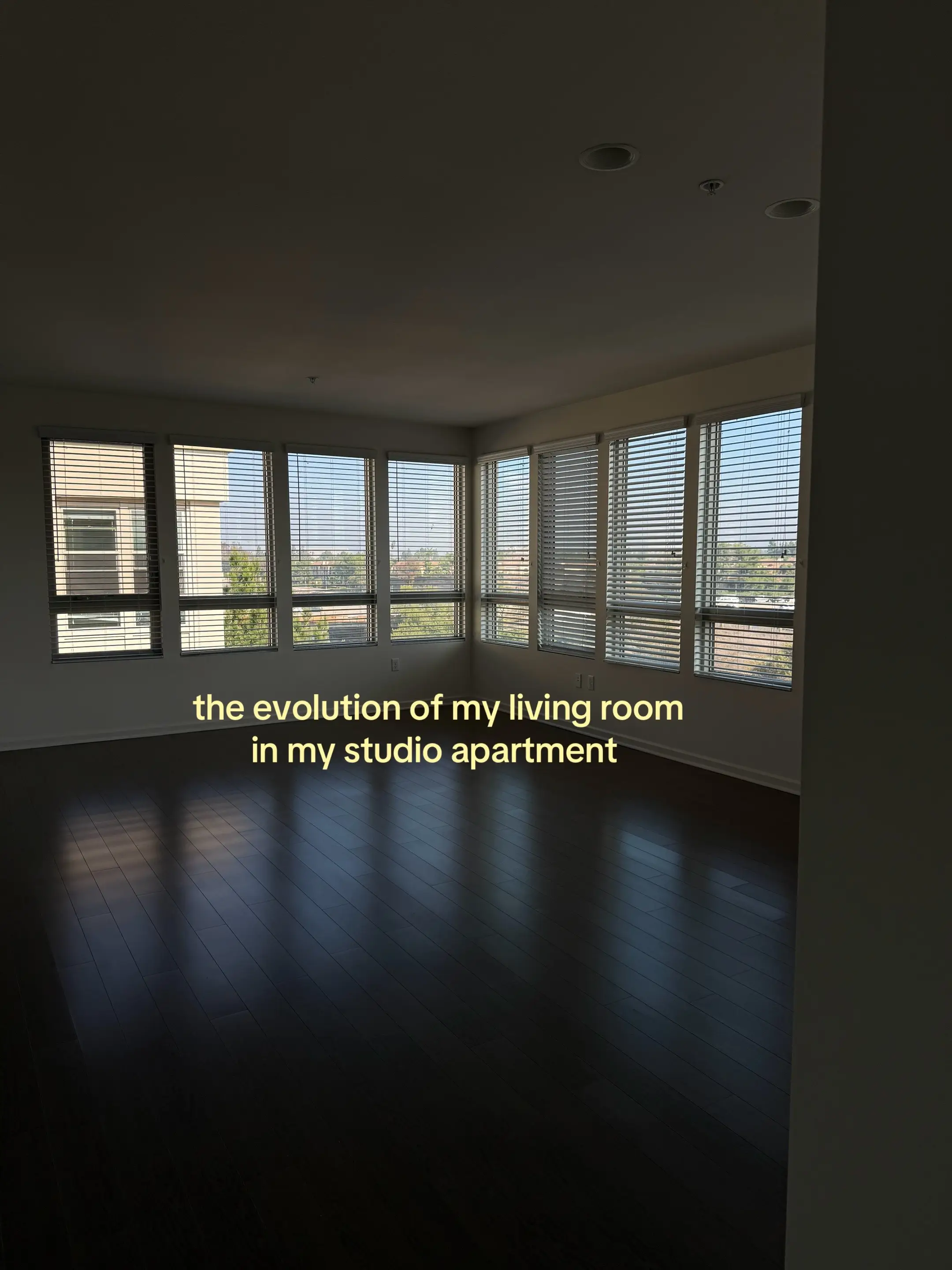 #studioapartment #livingroomdecor #organicmodern 