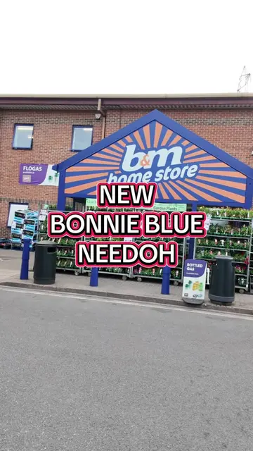 Can we find the new Bonnie Blue Needoh in B&M? #bonnieblue #needoh #retrobeans #