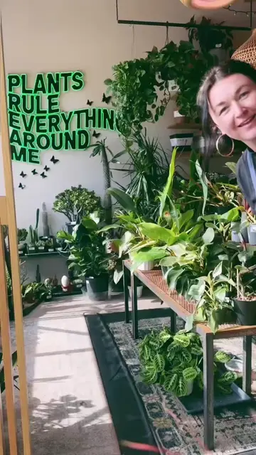 this is how we’re going to start introducing our plants 🤭😬 #PlantTok #housepla