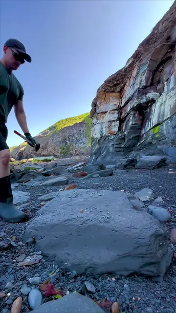 We searched a Jurassic fossil beach and uncovered treasures around 180 million y