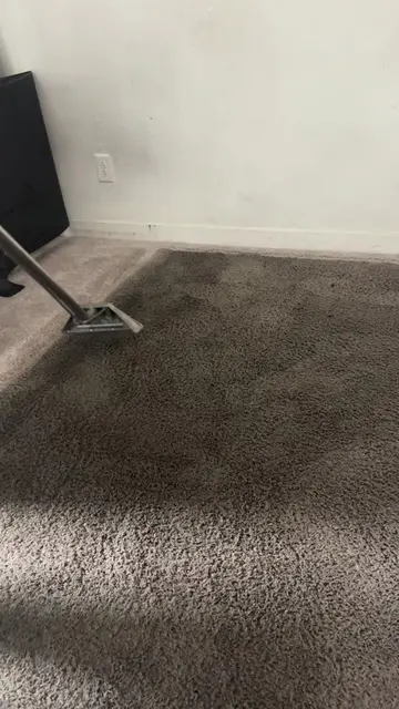 BLACK CARPETS‼️🤮 We were able to restore it, but a few areas had damaged fibers