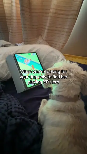 #xphero #pettok she LOVES this game!! 