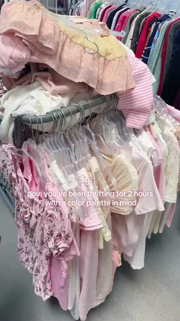 Thrift with me ⊹₊｡ꕤ°₊ ⊹ 🌸🧚‍♀️⭐️💕 Pastel 🧁 shabby chic finds 🤭 ~ goodwill fi
