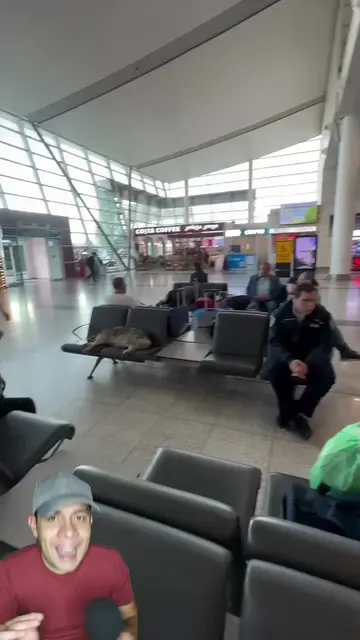 Estos perritos durmieron dentro de un aeropuerto y esto fue lo que ocurrió 🐶❤️�