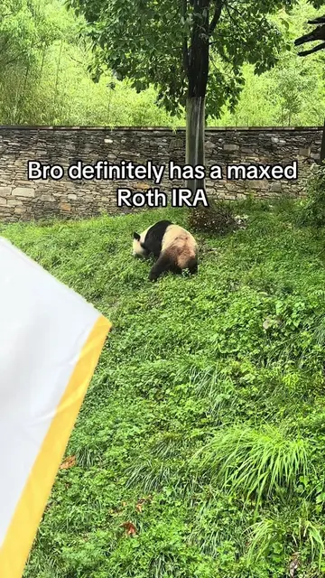 Follow me on ig: ianinvests_ #fyp #investing #rothira #viral #panda