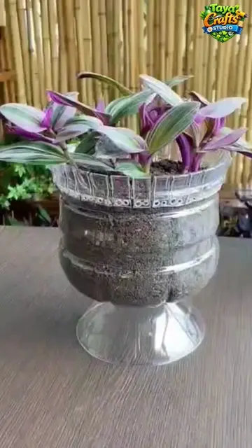 🌿♻️ Turning trash into treasure! ✨😍 Can you believe this beautiful mini plante