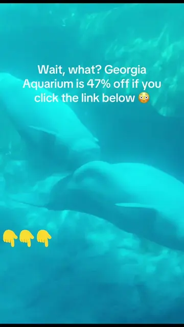 🚨 DON’T pay full price for Georgia Aquarium tickets! 🐋🐠 TikTok is offering 47