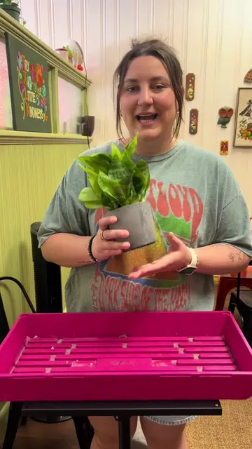 Repotting your house plant can be a bit scary, but it doesn’t have to be! Let’s 