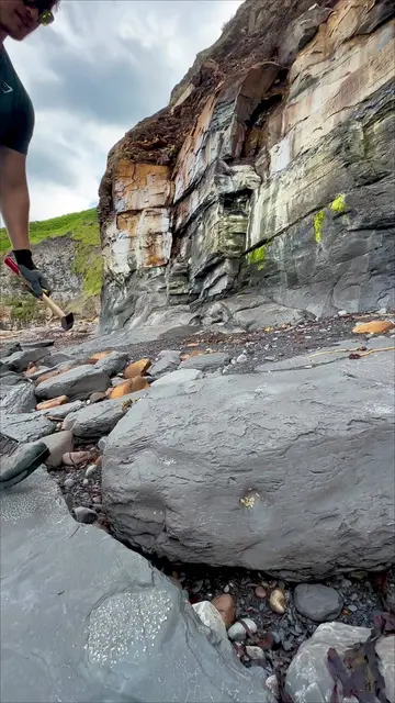 We came across a HUGE shale landslide filled with rocks containing fossils! 🏝️ 