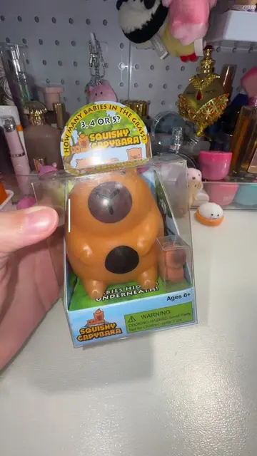 unboxing fail?! did i buy a used squishy? 🤨 #squishy #fidget #unboxing #capybar