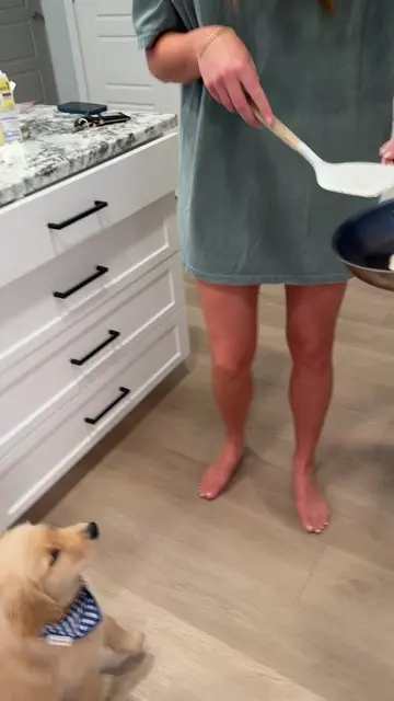Saturday’s are for pancakes!🥞 🫐🧈 #dogpancakes #puppytiktok #saturday 