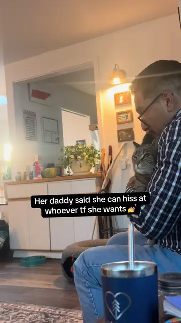 Daddy’s girl for real. He doesn’t play about her #catdad #catsoftiktok 