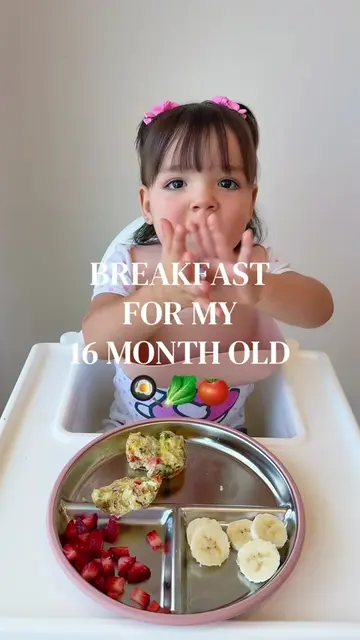 Breakfast for my 16 month old 🍳🥬🍅🧀 #babyledweaning #babyledweaningideas #bab