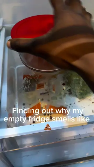 This threw my whole appetite off😂.. Handheld steam cleaner made to loosen build