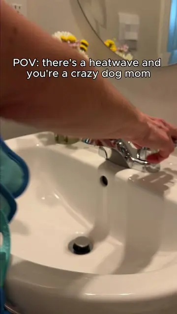 Getting my dog ready for the summer heatwave 🐾 #doglife #dogmom #Summer #heatwa