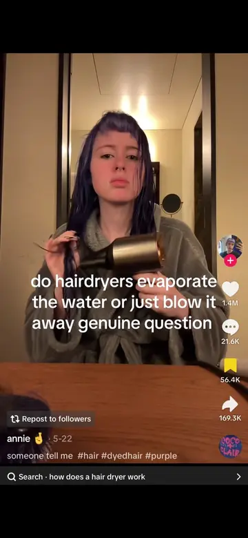 I had fun with these. How do hairdryers work? #tiktok #xyzbca #funnycomments #vo