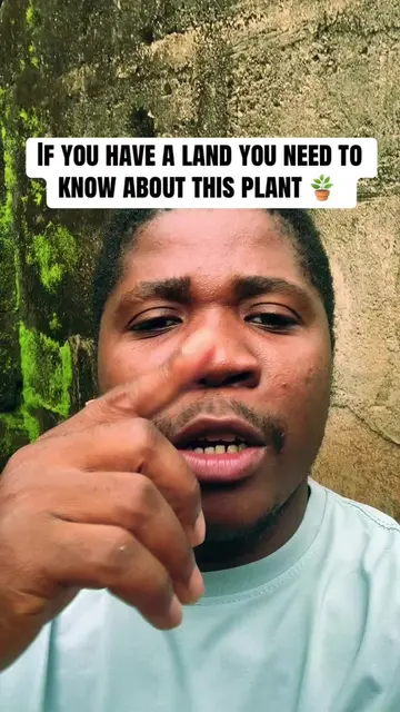 If you have a land you need to know about this plant 🪴 #plants #tree 