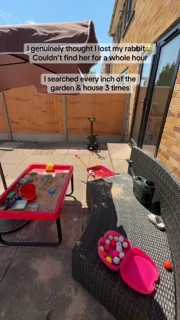 Thanks for the panic attack Honey 😭 #PetsOfTikTok #rabbitsoftiktok #bunniesofti