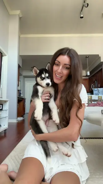 Welcome to Kia & Kya 🩵🐾 You found our little corner of TikTok. We’re so excite