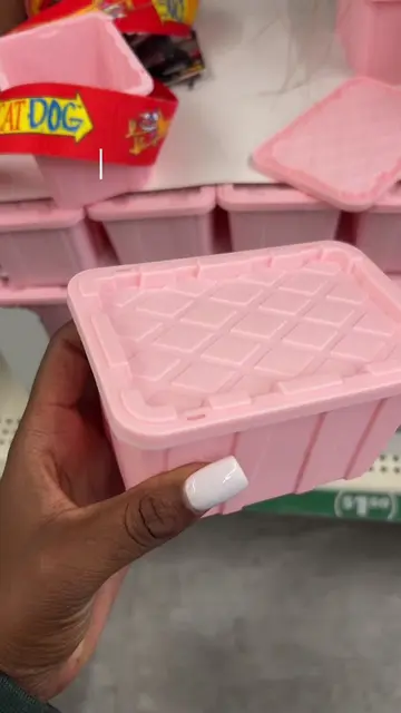 #DollarTree #dollartreefinds #dollartreehaul #pink #everythingpink 