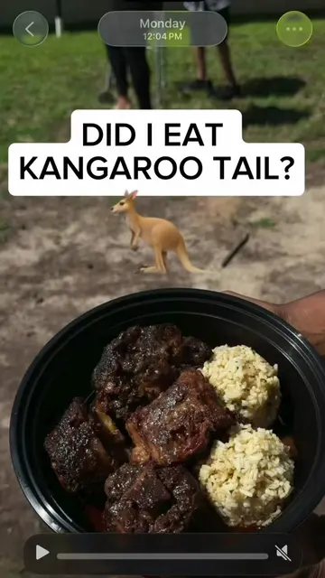 Kangaroo tail v Oxtail???? What’s the difference? What did I eat?? #oxtail #kang
