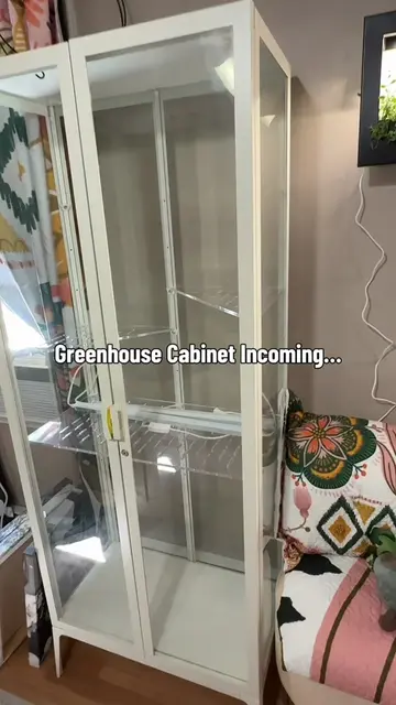 Do you have an ikea greenhouse? What mistakes should I avoid? #PlantTok #Housepl