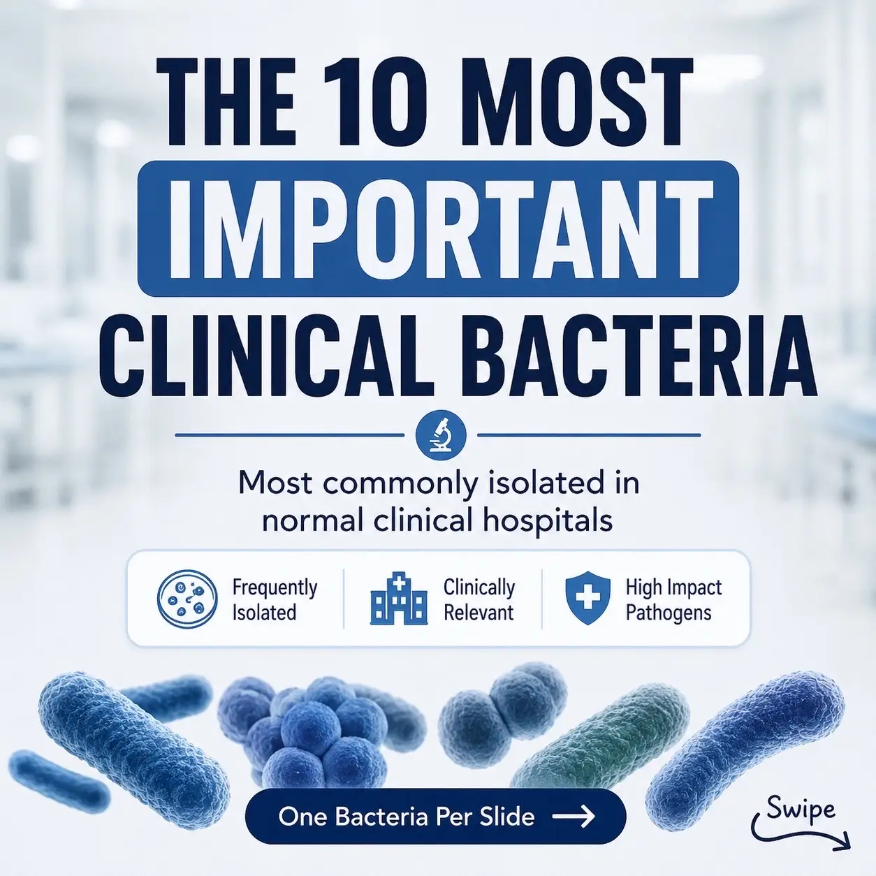 Most Isolated Bacteria in a Clinical Laboratory 🔬🧫