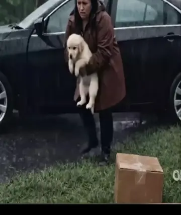 The Thrown Away Dogs Saved the Life of the Old Man.🩷 #dogrescuer #dogsoftiktok 