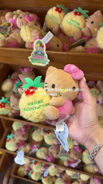 Driving to the Dole Plantation on the North Shore was so worth it just for the e