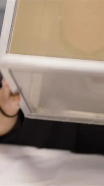 I put my HEAD into a box with THOUSANDS of MOSQUITOES! New episode on the @Brave