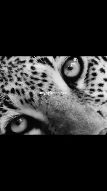 #spiritanimal #leopard #edit #fyp #foryoupage 