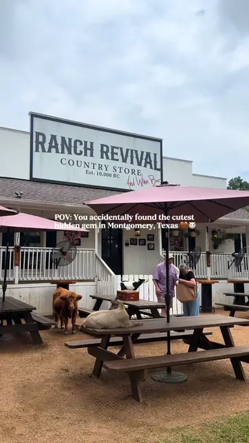 If you’re looking for one of the most unique family-friendly stops in Montgomery