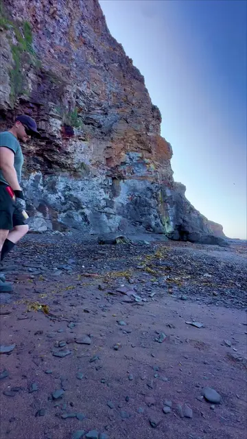 180-million-year-old Jurassic beach treasure hunt 😱 We searched the Yorkshire c