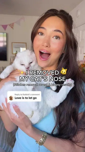 Replying to @Rabbid ✨TODAY’S THE DAY!!! Reveal + cancer results!✨🐱strongest cat
