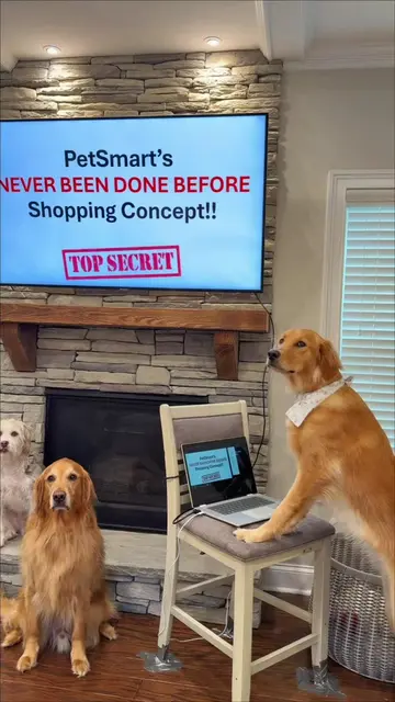 These dogs LOVE online shopping, but nothing beats a trip to @PetSmart ! The pup