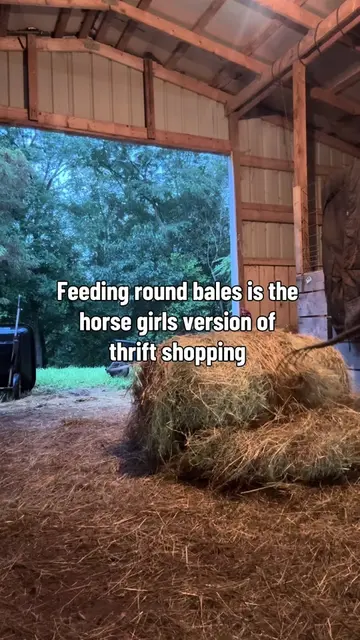 Square bales in this economy? No shot. #horses #equestrian #equine #horselife #h