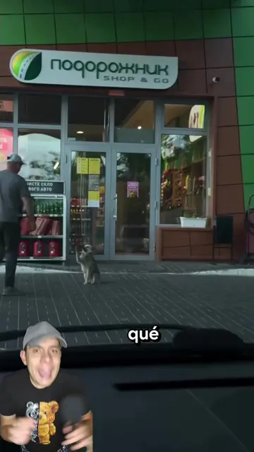 Este perrito saludaba a todos los clientes del supermercado todos los días 🐶❤️�