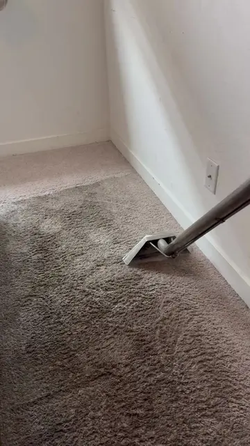 We RESURRECTED These Carpets 🔥🔥🔥 These Are Always Satisfying 🤤 Regenerate wo