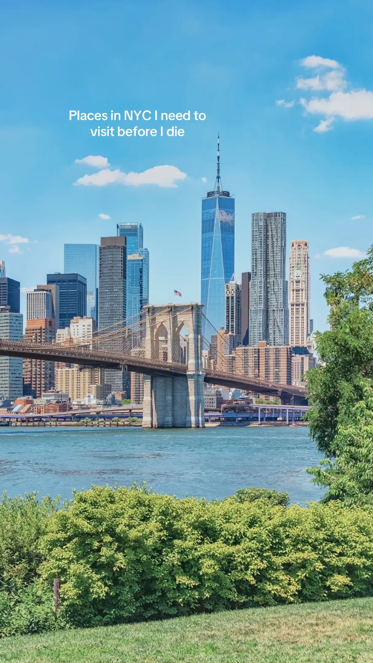 #nyc #thingstodoinnyc #nyctravel #viral #fyp 