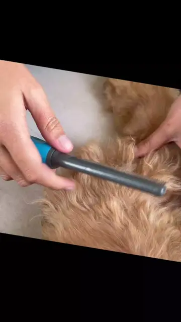 Our ADB Petite does the brushing for you! So will help avoid Tendritis and Carpe