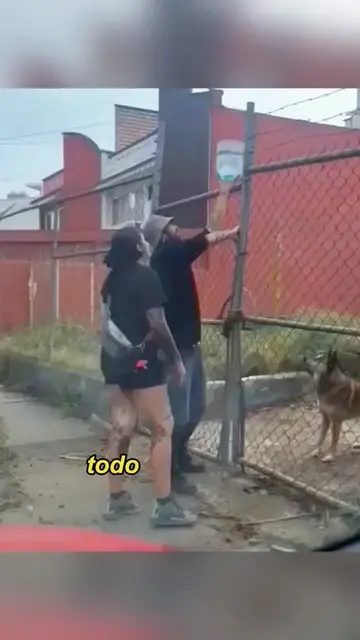 Give water to the dogs in the fence#animals #Foryou #Friendship #Us #fyp