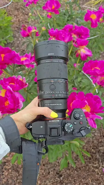 The process 📷 vs the result 🐝 I enjoy the photo walks, the excitement when spo