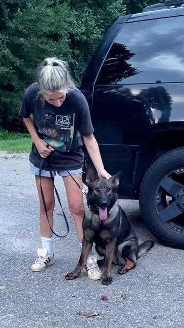 Protection dog, Banshee, will say it with her whole chest! She is a very friendl