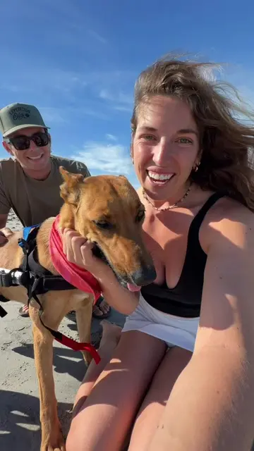 We were SO excited to bring Birdie to the beach with her new wheels🥹🌊🛞 Honest