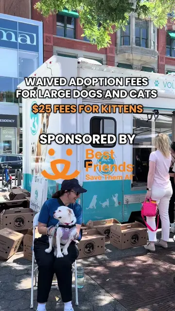 Join us for a heartwarming weekend with @Best Friends to find your new furry fam